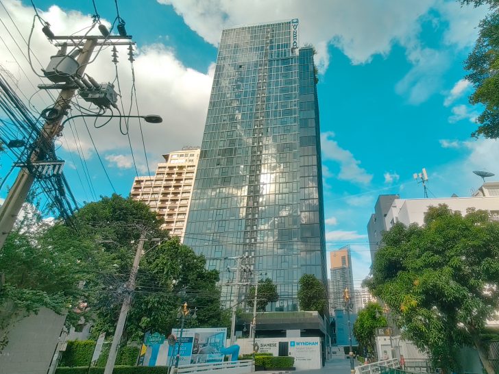 Siamese Exclusive Queens