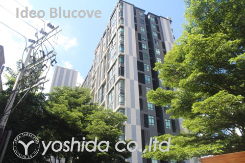 Ideo Blucove